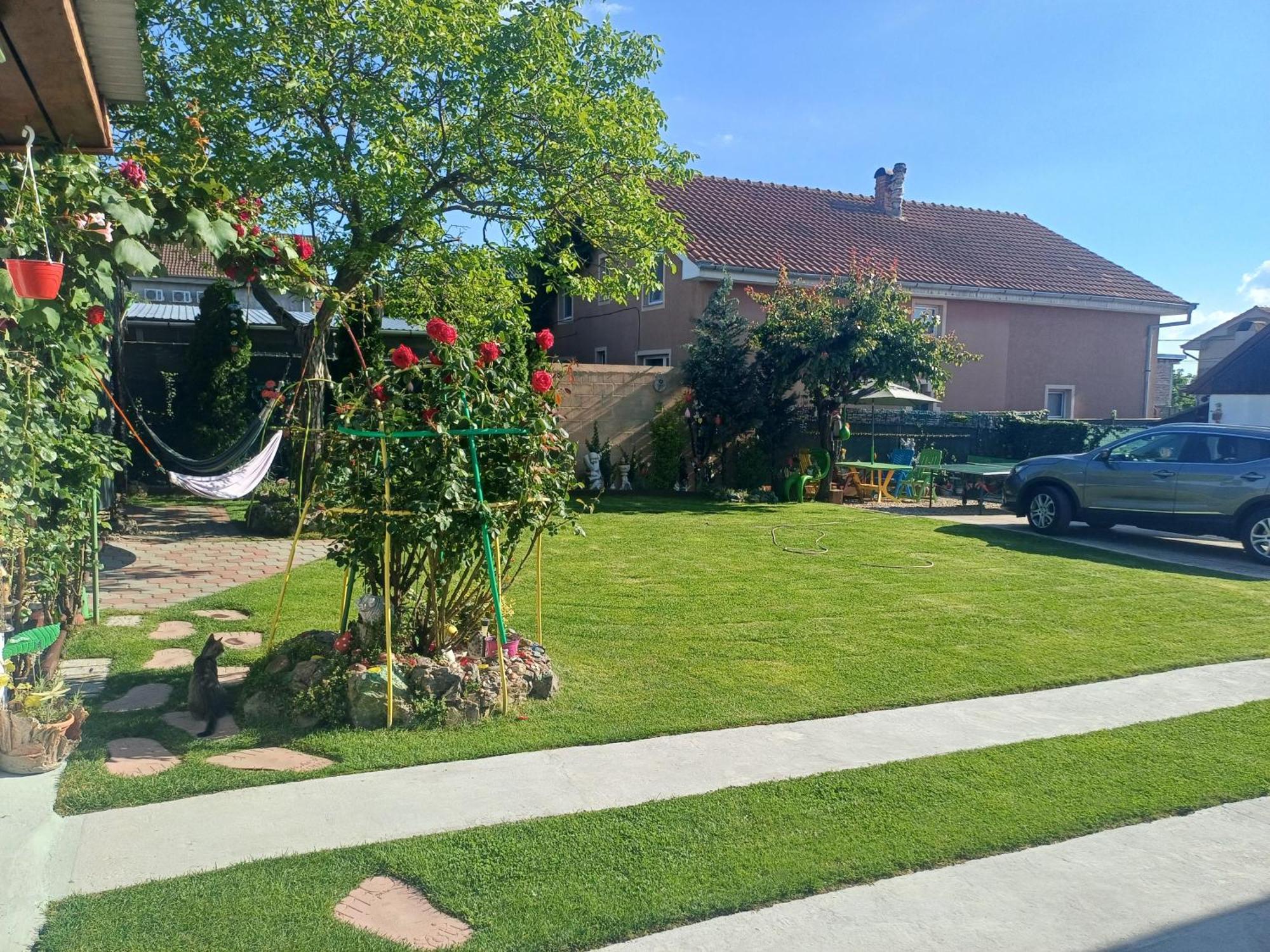 Casa Marinela Hotel Félixfürdő Kültér fotó