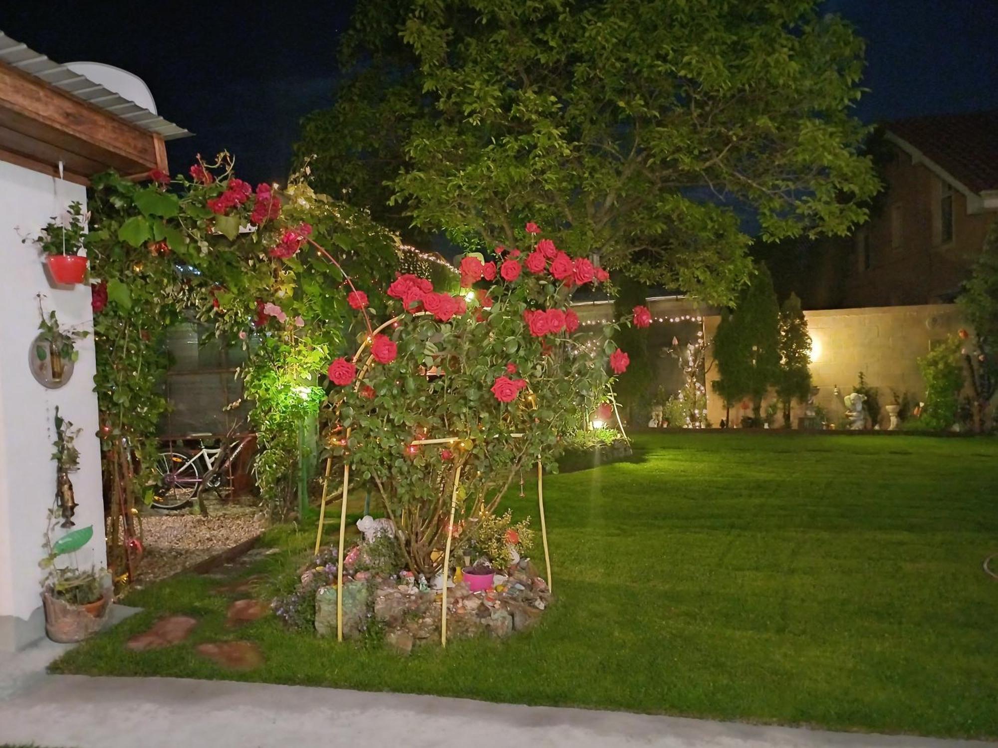 Casa Marinela Hotel Félixfürdő Kültér fotó